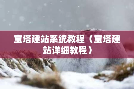 宝塔建站系统教程（宝塔建站详细教程）