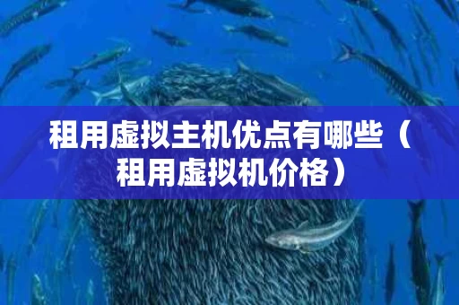 租用虚拟主机优点有哪些（租用虚拟机价格）