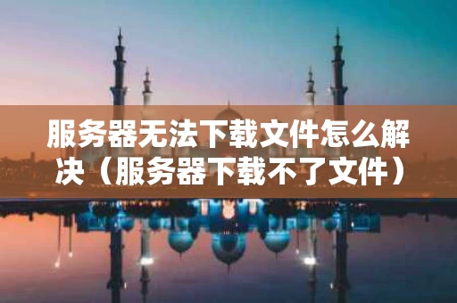 服务器无法下载文件怎么解决（服务器下载不了文件）
