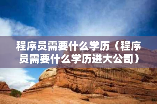 程序员需要什么学历（程序员需要什么学历进大公司）