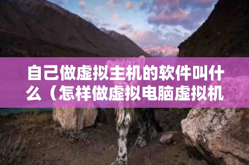 自己做虚拟主机的软件叫什么（怎样做虚拟电脑虚拟机）