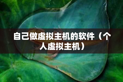 自己做虚拟主机的软件（个人虚拟主机）