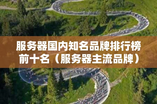 服务器国内知名品牌排行榜前十名（服务器主流品牌）