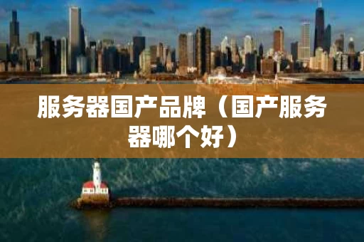 服务器国产品牌（国产服务器哪个好）