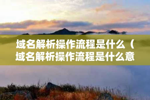 域名解析操作流程是什么（域名解析操作流程是什么意思）