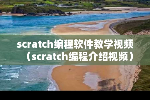 scratch编程软件教学视频（scratch编程介绍视频）