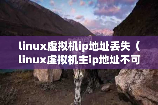 linux虚拟机ip地址丢失（linux虚拟机主ip地址不可用）