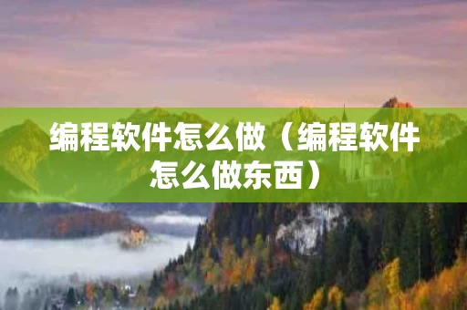 编程软件怎么做（编程软件怎么做东西）
