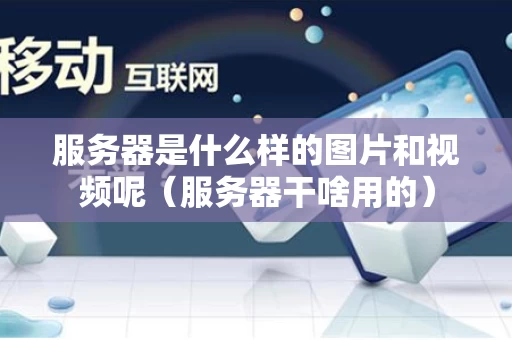 服务器是什么样的图片和视频呢（服务器干啥用的）