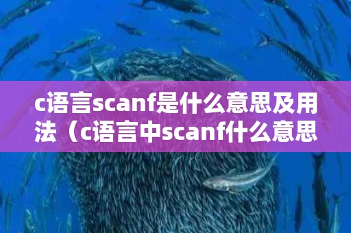 c语言scanf是什么意思及用法（c语言中scanf什么意思怎么用）
