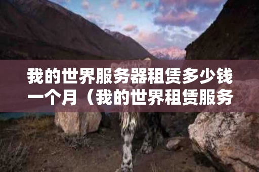 我的世界服务器租赁多少钱一个月（我的世界租赁服务器要钱吗）