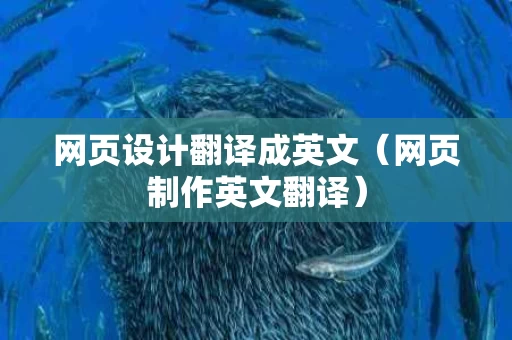 网页设计翻译成英文（网页制作英文翻译）