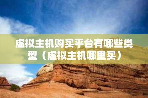 虚拟主机购买平台有哪些类型（虚拟主机哪里买）