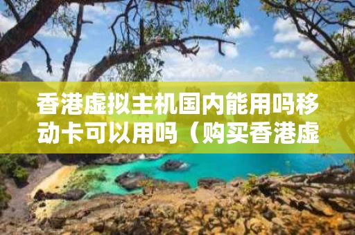 香港虚拟主机国内能用吗移动卡可以用吗（购买香港虚拟服务器）
