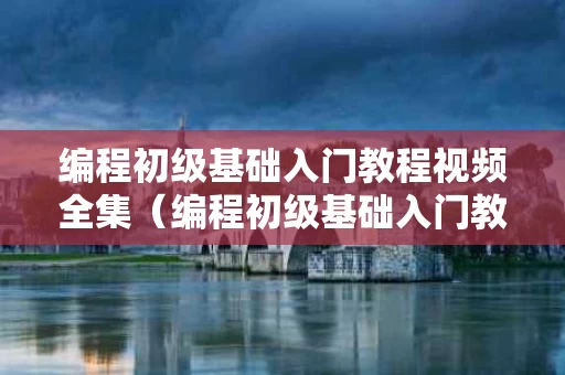 编程初级基础入门教程视频全集（编程初级基础入门教程视频全集讲解）