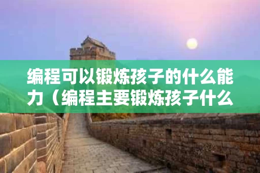 编程可以锻炼孩子的什么能力（编程主要锻炼孩子什么）
