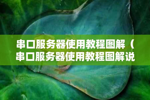 串口服务器使用教程图解（串口服务器使用教程图解说明）