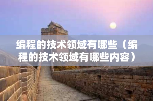 编程的技术领域有哪些（编程的技术领域有哪些内容）
