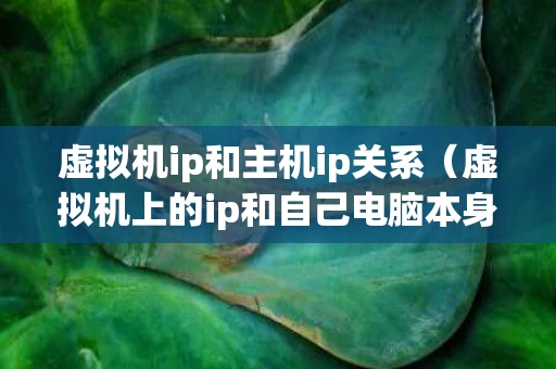 虚拟机ip和主机ip关系（虚拟机上的ip和自己电脑本身的ip一样吗）