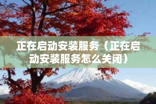 正在启动安装服务（正在启动安装服务怎么关闭）