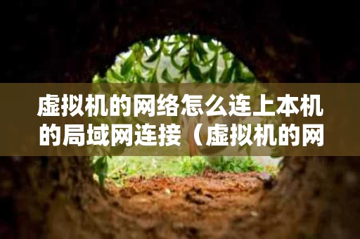 虚拟机的网络怎么连上本机的局域网连接（虚拟机的网络怎么连上本机的局域网连接不上）