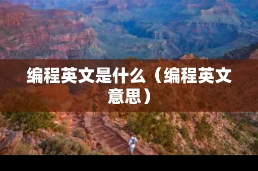 编程英文是什么（编程英文意思）