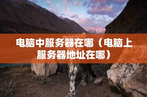电脑中服务器在哪（电脑上服务器地址在哪）