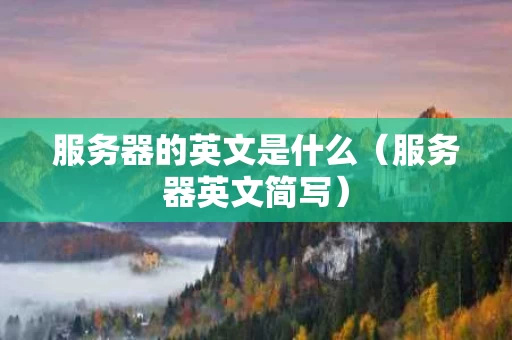 服务器的英文是什么（服务器英文简写）