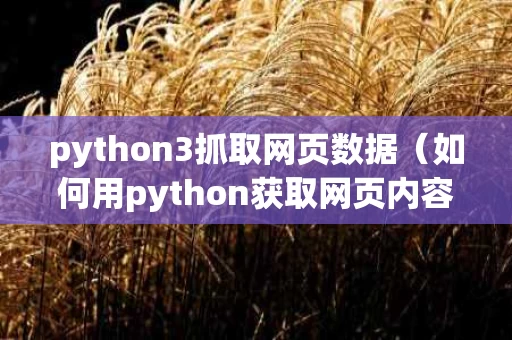 python3抓取网页数据（如何用python获取网页内容）