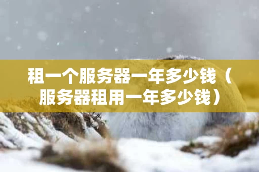 租一个服务器一年多少钱（服务器租用一年多少钱）