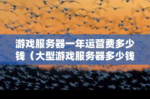 游戏服务器一年运营费多少钱（大型游戏服务器多少钱一个月）