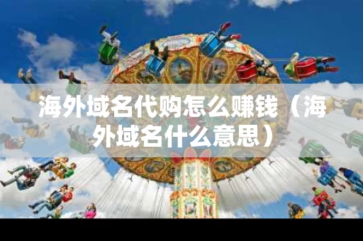 海外域名代购怎么赚钱（海外域名什么意思）
