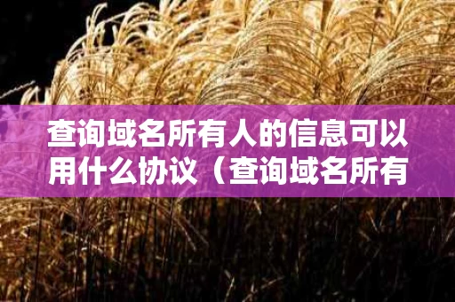 查询域名所有人的信息可以用什么协议（查询域名所有者）