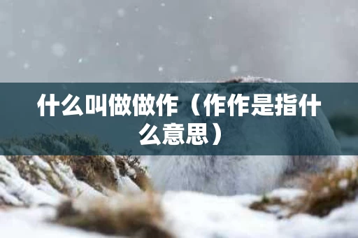 什么叫做做作（作作是指什么意思）