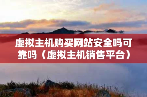 虚拟主机购买网站安全吗可靠吗（虚拟主机销售平台）