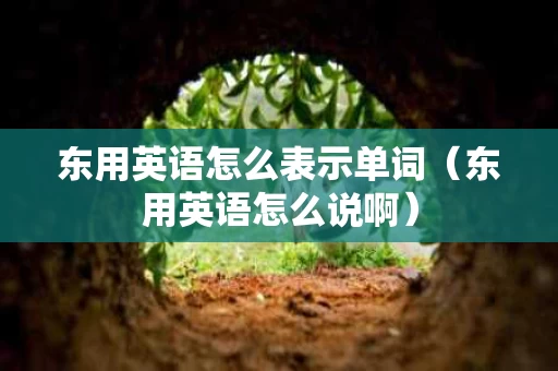 东用英语怎么表示单词（东用英语怎么说啊）