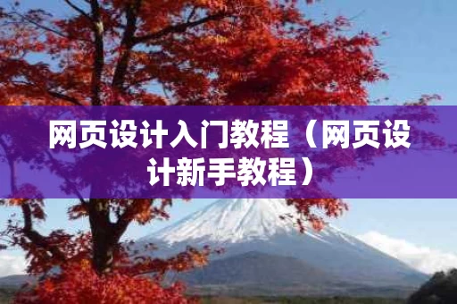 网页设计入门教程（网页设计新手教程）