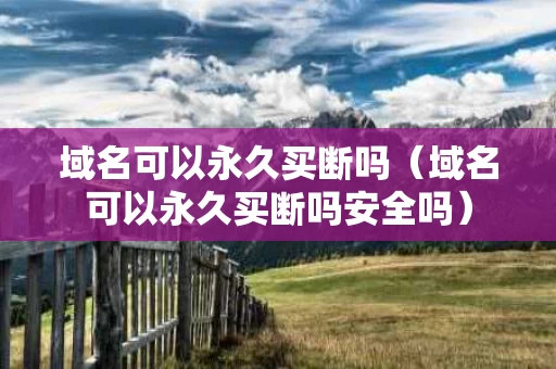 域名可以永久买断吗（域名可以永久买断吗安全吗）