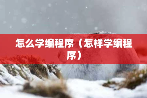 怎么学编程序（怎样学编程序）