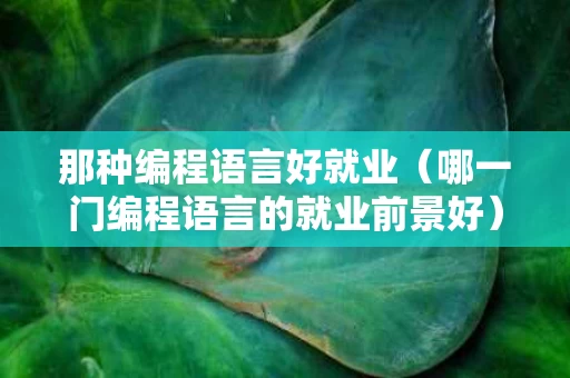 那种编程语言好就业（哪一门编程语言的就业前景好）