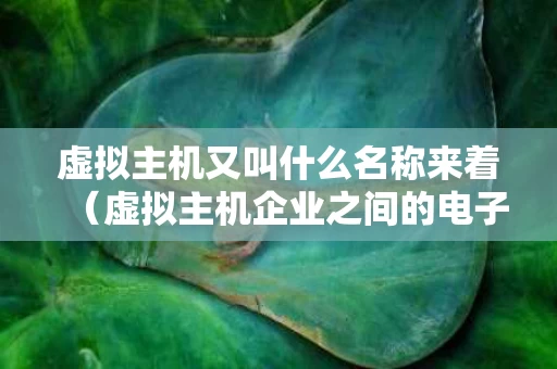 虚拟主机又叫什么名称来着（虚拟主机企业之间的电子商务）