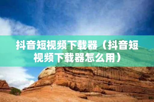 抖音短视频下载器（抖音短视频下载器怎么用）