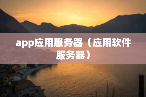 app应用服务器（应用软件服务器）
