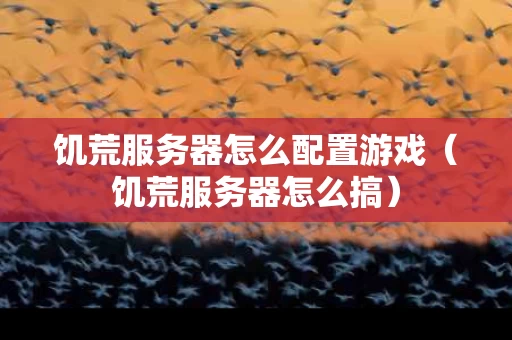 饥荒服务器怎么配置游戏（饥荒服务器怎么搞）