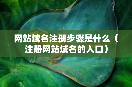 网站域名注册步骤是什么（注册网站域名的入口）