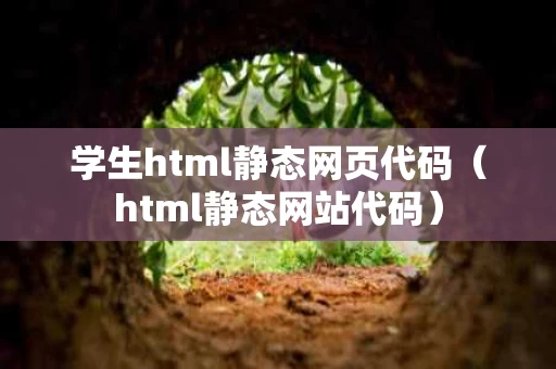 学生html静态网页代码（html静态网站代码）
