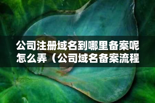 公司注册域名到哪里备案呢怎么弄（公司域名备案流程）