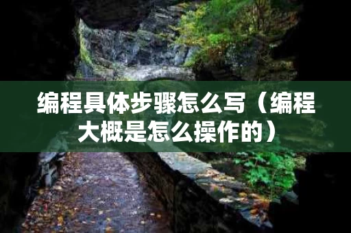 编程具体步骤怎么写（编程大概是怎么操作的）
