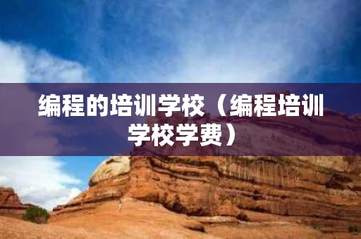编程的培训学校（编程培训学校学费）
