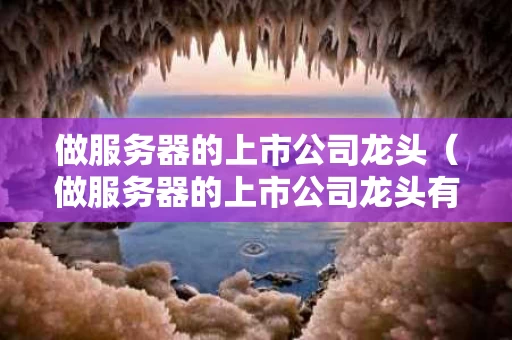 做服务器的上市公司龙头（做服务器的上市公司龙头有哪些）